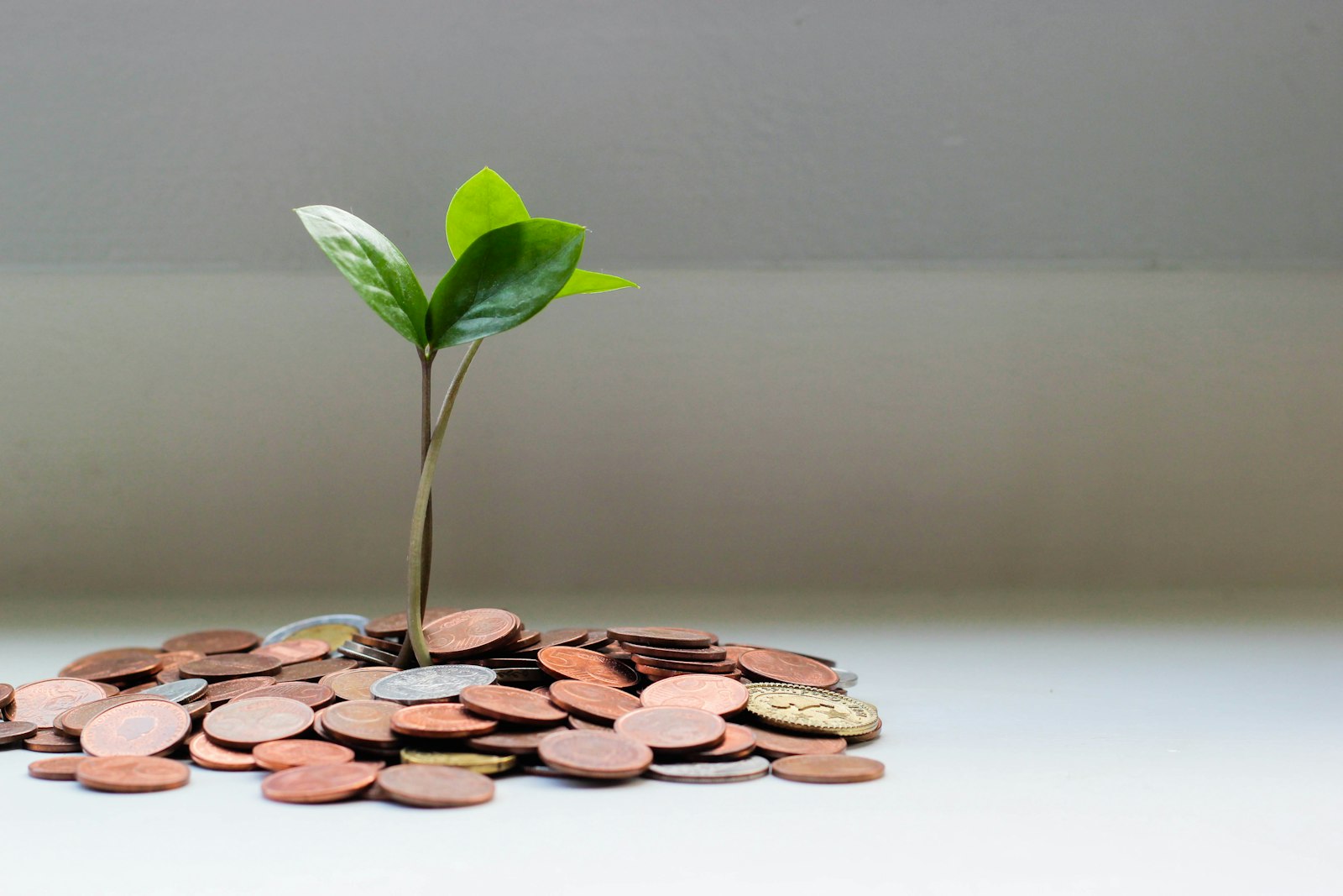 Working Capital for Small Business: 7 Strategies to Stay Cash Flow Positive